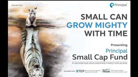 Principal SmallCap Fund R.